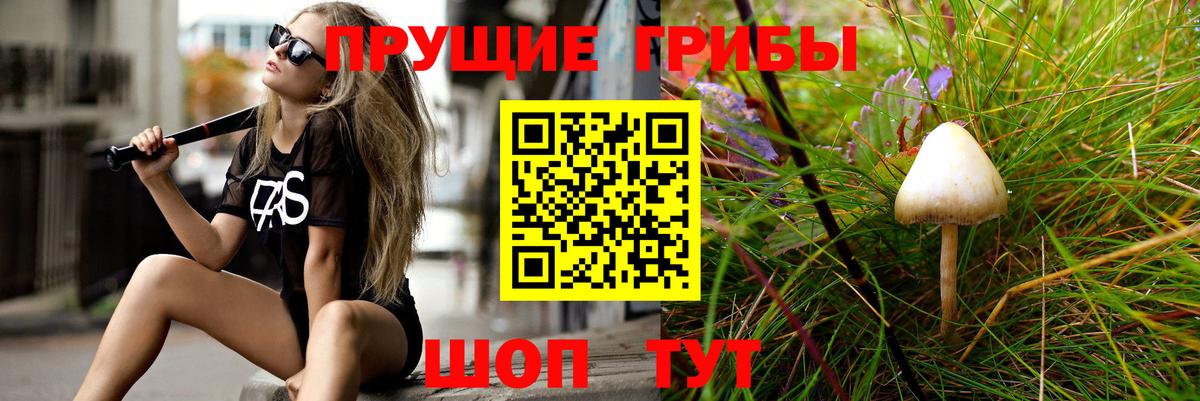 магазин    Псилоцибиновые грибы Psilocybe  Вход с VPN  Санкт-Петербург  Галлюциногенные грибы Psilocybine cubensis 
